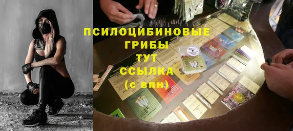 спиды Алексеевка